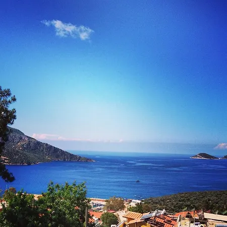 Kelebek 2* Kalkan